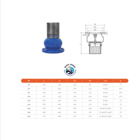 RỌ BƠM GANG MẶT BÍCH CÓ LƯỚI INOX PN16 